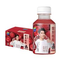 werdery/味动力 0脂0色素 复合果汁饮品