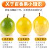 无品牌 广西 黄金百香果 5斤