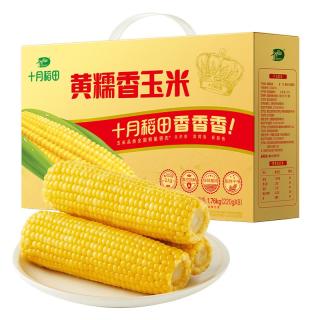 十月稻田 颗颗软糯甜到心坎！黄糯香玉米 220g*8根 18.91元