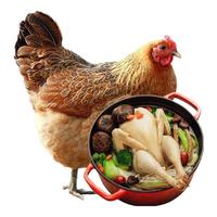 京典光年三黄鸡 走地鸡配送散养土鸡新鲜冷冻年货生鲜 500g【4只】