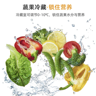 志高 S158 88L双门冰箱 白色