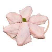 TongDeYi Li 同德义利 鸡翅中 1kg