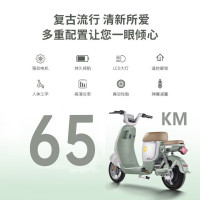 移动端、京东百亿补贴、限地区：新日 新国标电动车星空48V24Ah锂电池电瓶车代步助力自行车烟灰绿