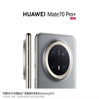 华为 HUAWEI Mate 70 Pro+ 16GB+512GB 鸿蒙NEXT先锋版 金丝银锦 鸿蒙AI 红枫原色影像 高亮钛玄武架构