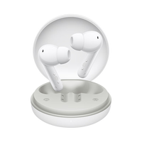 HONOR 荣耀 Earbuds A Pro 真无线入耳式蓝牙耳机