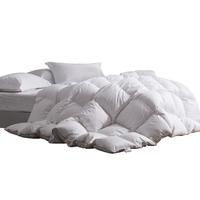 SNOWMAN 斯诺曼 舒适柔软抗菌防绒保暖羽毛被冬被芯子 填充2800g220x240cm