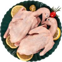 温润食品乳鸽净重520g（260g*2只）生鲜生态慢养乳鸽鸽子汤月子煲汤