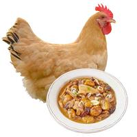 飞来峡 清远瑶山鸡 供港无抗生鲜整鸡肉 山林散养农家土鸡母鸡走地鸡 瑶山鸡1.4斤-1.8斤