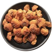霍山铁皮石斛 胶质饱满 泡茶煲汤滋补品 特优 枫斗 养生 1罐 25g