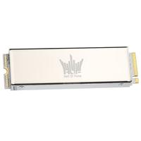影驰 GALAX 名人堂 HOF Pro 20 NVMe M.2 固态硬盘 2TB (PCI-E4.0)