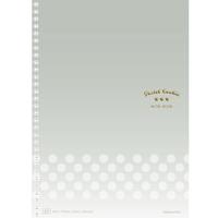 KOKUYO 国誉 淡彩曲奇系列 WSG-SNCA580T A5螺旋装订本 透明 2本装
