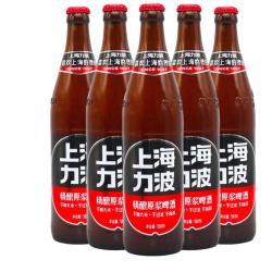 力波啤酒;REEB;R 千岛湖活水 全麦芽啤酒  整箱装 500mL