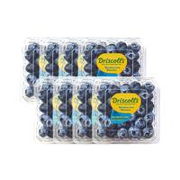 怡颗莓 Driscoll's 蓝莓 中果 单果果径14-17mm 125g*4盒