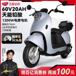 五星钻豹 电动摩托车60V成人外卖电动车代步电瓶车G7