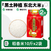 十月稻田 SHI YUE DAO TIAN 稻香米 20斤
