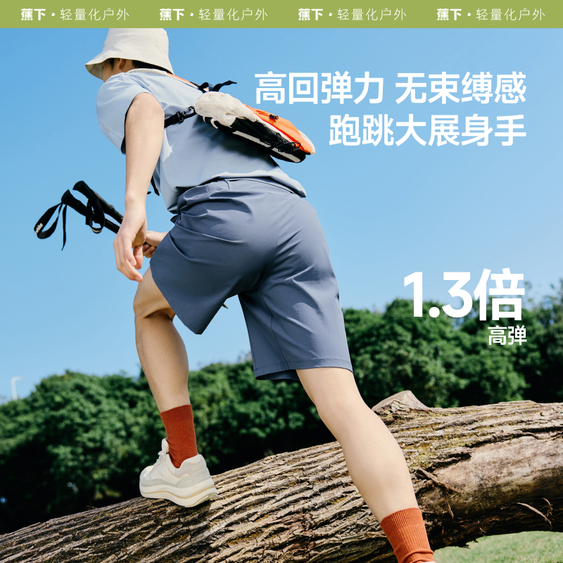 灰鸽蓝