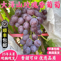 风车车农场 拉尔庄园大泽山玫瑰香葡萄 青岛平度大泽山露天葡萄 当季新鲜葡萄 12斤 （发3箱4斤）