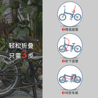 DAHON大行D6经典20寸折叠自行车成年人男女式变速折叠单车KBC061 20英寸