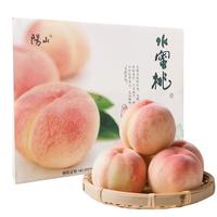 阳山 水蜜桃  一级果3-4两12个 礼盒 3.6斤