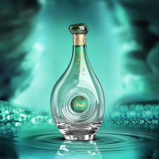  丛台 纯粮酒 浓香型白酒  单瓶装