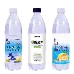 特种印象 鲜丰春新货上海盐汽水600ml*24瓶柠檬整箱解渴批发盐运动功能饮料老汽水