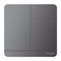Schneider Electric 施耐德电气 AvatarOn绎尚系列 双开双控开关 荧光灰