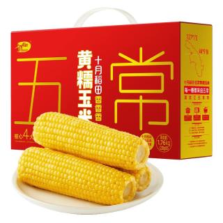 十月稻田 五常黄糯玉米 1.76kg 220g*8根