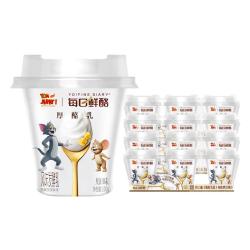 蒙牛 双拼果粒酸奶90g*24盒