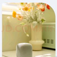 索尼 SONY LinkBuds音乐盒 无线蓝牙音箱 质感人声 IPX4防水 灰色