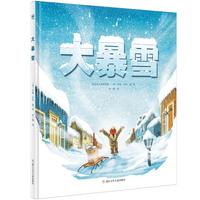 《大暴雪》（精装）