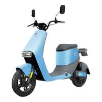  PAI/派电 新国标 电动自行车  DM1Lite+ 48v20Ah纯电40-75km 锂电池,铅酸电池 20Ah 48V