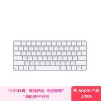 苹果 Apple 妙控键盘-中文 (拼音) USB-C端口 苹果键盘蓝牙键盘无线键盘办公键盘 MXCL3CH/A