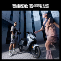 小牛电动 FXT Citi 铅酸电动自行车 新国标 长续航 踏板两轮电动车 通勤车
