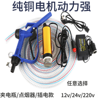 泰鹏 抽油泵 12V金泵5米电瓶夹+5米钢丝管 电动小型油泵
