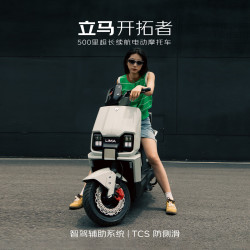 立马电动车 摩托车开拓者 500里长续航电动车72V38Ah石墨烯电池 智能辅助驾驶电瓶车 茶白