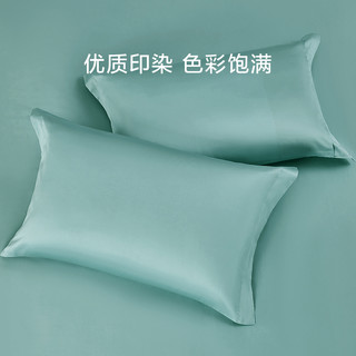 罗莱家纺床上用品100支全棉纯棉匹马棉枕头套一对装单人双人宿舍