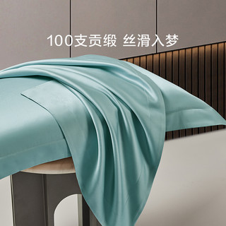 罗莱家纺床上用品100支全棉纯棉匹马棉枕头套一对装单人双人宿舍