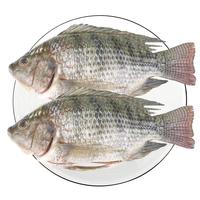 环球水产三去罗非鱼2.8斤/共4条 免处理去鳞去鳃去内脏 鱼类 【免处理罗非鱼】2.8斤/共4条