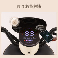 绿源 MODA11-D 电动自行车 TDT24231Z 48V 12ah