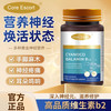 CORE ESCORT 氰钴胺B12营养神经中老年活性维生素B12片 3瓶装
