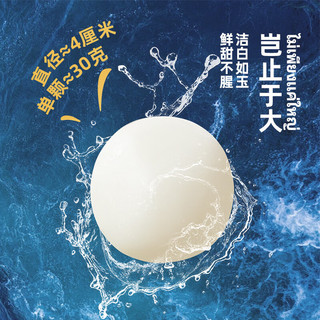 思念火锅丸子  鱼丸牛肉丸鱼籽包鱼豆腐 火锅烧烤麻辣烫食材 普吉大鱼丸120g