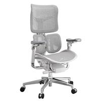 西昊Doro S300二代 人体工学椅电脑椅家用办公椅子人工力学座椅电竞椅 岩灰 第6代太空底盘