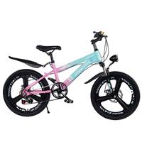 移动端、京东百亿补贴：飞鸽 儿童自行车