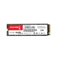 Great Wall 长城 GW3500 M.2 NVMe 固态硬盘 1TB（PCIe 3.0）