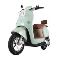 ZUB 五星钻豹 TDT529Z 新国标电动自行车 B13 靠背板 凝雪白/星空黎雾兰