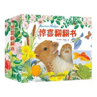 《惊喜翻翻书》(精装、套装共5册)