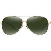 PARZIN 帕森 男士太阳镜 PZPOL8131A 金框墨绿片 68mm