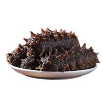 大连鲜活即食海参单冻刺参约8-10cm/只