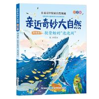 《亲近奇妙大自然·湖海卷：驼背鲸的“泡泡网”》（注音版）