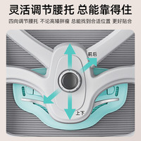 朗域轩品 人体工学椅